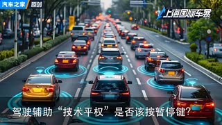 驾驶辅助“技术平权”，是否该按暂停键？