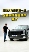 大六座布局+混动上身！全新现代帕里斯帝来了